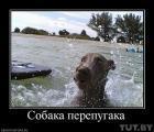 Прикрепленное изображение: __________________00az31e.jpg