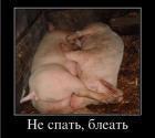 Прикрепленное изображение: __.jpg