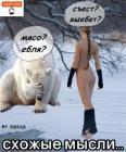 Прикрепленное изображение: ________.jpg