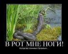 Прикрепленное изображение: 032_pics.jpg