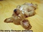Прикрепленное изображение: x_4cae621a.jpg