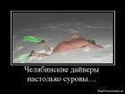 Прикрепленное изображение: x_d1a1f562.jpg