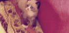 Прикрепленное изображение: 1356563604_tumblr_med2013hlj1qg39ewo1_500.gif