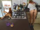 Прикрепленное изображение: image.jpg