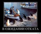 Прикрепленное изображение: 145b864446747fe3afe415526dcff83f.jpg