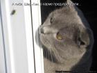 Прикрепленное изображение: b4523c542307efca63671a4b10fdeb40_108892.jpg