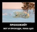 Прикрепленное изображение: 1516171657_d37.jpg