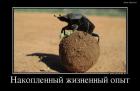 Прикрепленное изображение: 32120(1).jpg