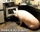 Прикрепленное изображение: IMG_20190105_171844_945.jpg