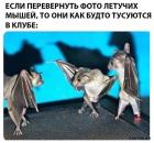 Прикрепленное изображение: 1578729717.jpg