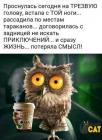 Прикрепленное изображение: IMG-20191223-WA0001.jpg