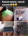 Прикрепленное изображение: image.jpeg