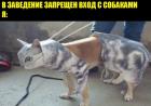 Прикрепленное изображение: rkU84MyblcQ.jpg