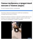 Прикрепленное изображение: IMG_20200108_131757.jpg