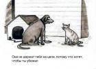Прикрепленное изображение: 1610733291.jpg