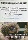 Прикрепленное изображение: 1611994784.jpg