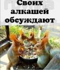 Прикрепленное изображение: 1609564177.jpg