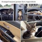 Прикрепленное изображение: 1610798170.jpg