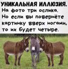 Прикрепленное изображение: IMG-20210112-WA0000.jpg