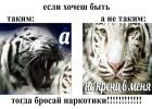 Прикрепленное изображение: Если хочешь быть таким, то бросай наркотики.jpg