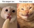 Прикрепленное изображение: photo_2021-01-25_09-09-53.jpg