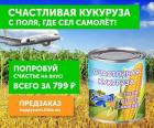 Прикрепленное изображение: Кукуруза с поля где сел самолет.jpg