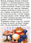 Прикрепленное изображение: Кот и кусок колбасы.jpg