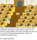 Прикрепленное изображение: Унылая жизнь у пчел.jpg