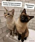 Прикрепленное изображение: 1674810318.jpg