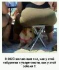 Прикрепленное изображение: 1672511923.jpg
