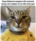 Прикрепленное изображение: 1672470759.jpg