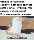 Прикрепленное изображение: Котик в отрубе.jpg