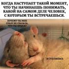 Прикрепленное изображение: Почему сразу не сказала.jpg