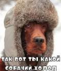 Прикрепленное изображение: 1704678129.jpg