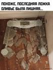 Прикрепленное изображение: 1704357068.jpg