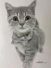 Прикрепленное изображение: 586xOf3a1iE_Katsunori Imamura, Япония.jpg