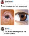 Прикрепленное изображение: 1737651914.jpg
