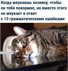 Прикрепленное изображение: 1736661819.jpg