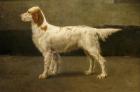 Прикрепленное изображение: Charles_Van_den_Eycken_-_Portrait_of_a_dog_2.jpg