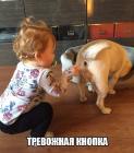 Прикрепленное изображение: jpacmo0B_Ss.jpg