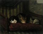Прикрепленное изображение: 1520px-Adolf_von_Becker_-_Kissa_poikasineen_-_A_I_102_-_Finnish_National_Gallery.jpg