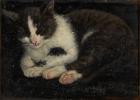 Прикрепленное изображение: adolf-von-becker-nukkuva-kissa.jpg