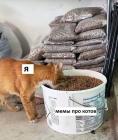 Прикрепленное изображение: Мемы про котов.jpg