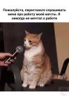 Прикрепленное изображение: Не мечтал о работе.jpg