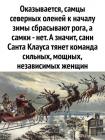 Прикрепленное изображение: 1732237444.jpg