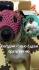 Прикрепленное изображение: 1730552286.jpg