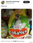 Прикрепленное изображение: 1730448878.jpg