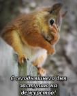 Прикрепленное изображение: 1767341359.jpg