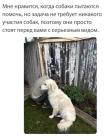 Прикрепленное изображение: 1769199255.jpg