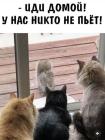 Прикрепленное изображение: 612397572_122110932915160412_1271896024041398498_n.jpg